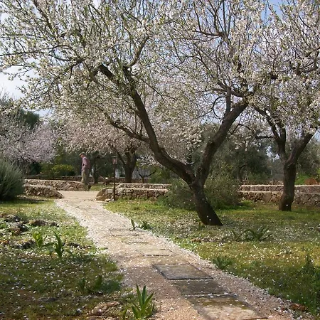 Almacanto 住宿加早餐酒店 图列