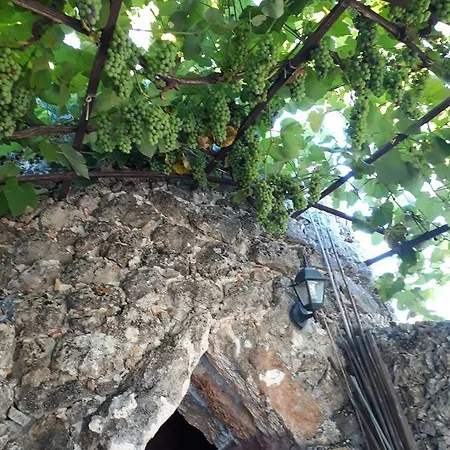 Almacanto Panzió 4*