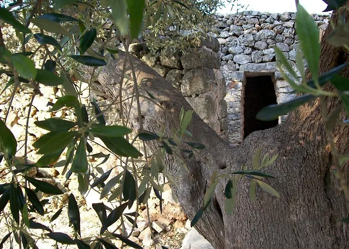 Almacanto فندق مبيت وإفطار